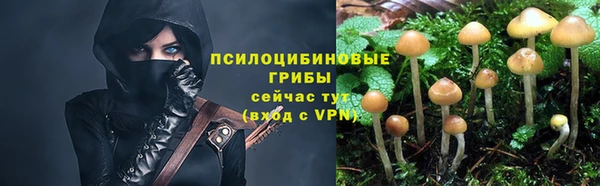 спиды Алексеевка