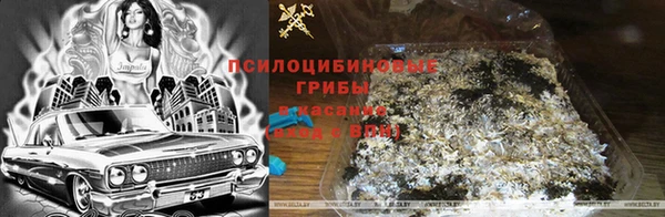спиды Алексеевка